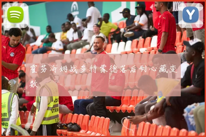 霍芬海姆战多特蒙德落后耐心藏变数