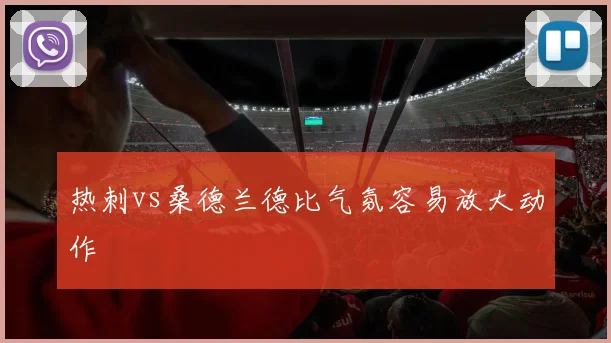 热刺vs桑德兰德比气氛容易放大动作
