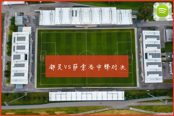 都灵vs萨索洛中锋对决
